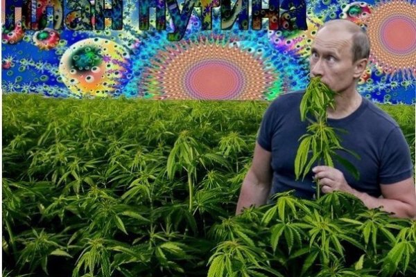 Аналог hydra