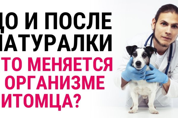 Kraken зеркало стор