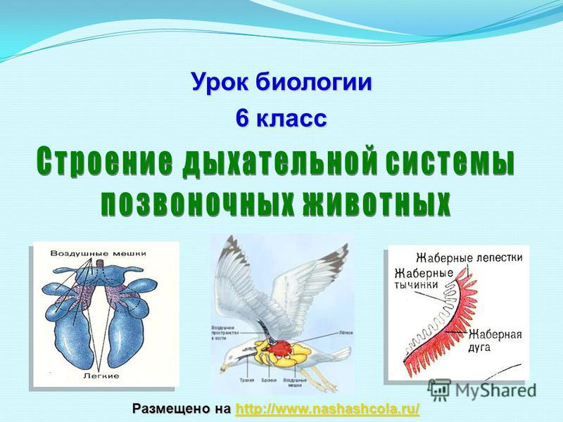 Найти ссылку кракен